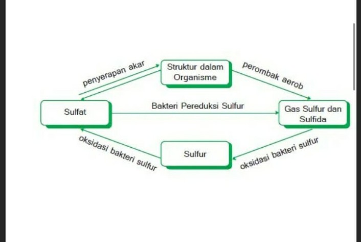 Pernyataan Berikut Tidak Lihat Cara Penyelesaian Di Qanda
