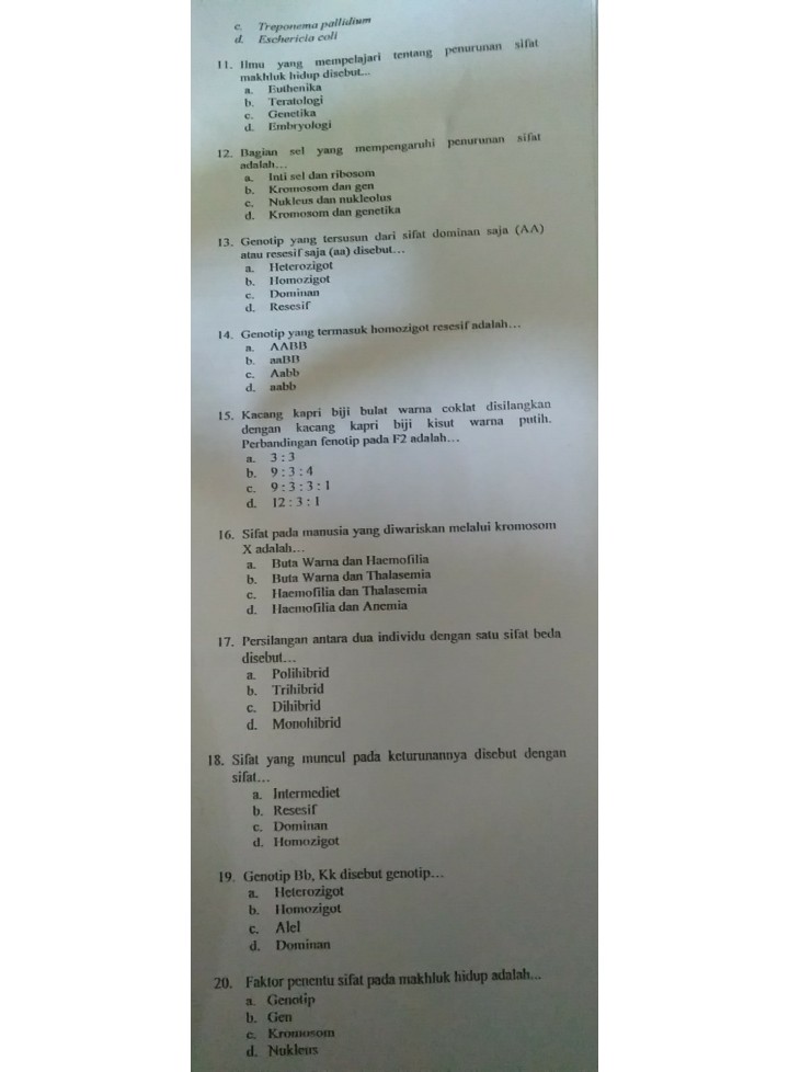 I Berikut Ini Saluran Re Descubre Como Resolverlo En Qanda