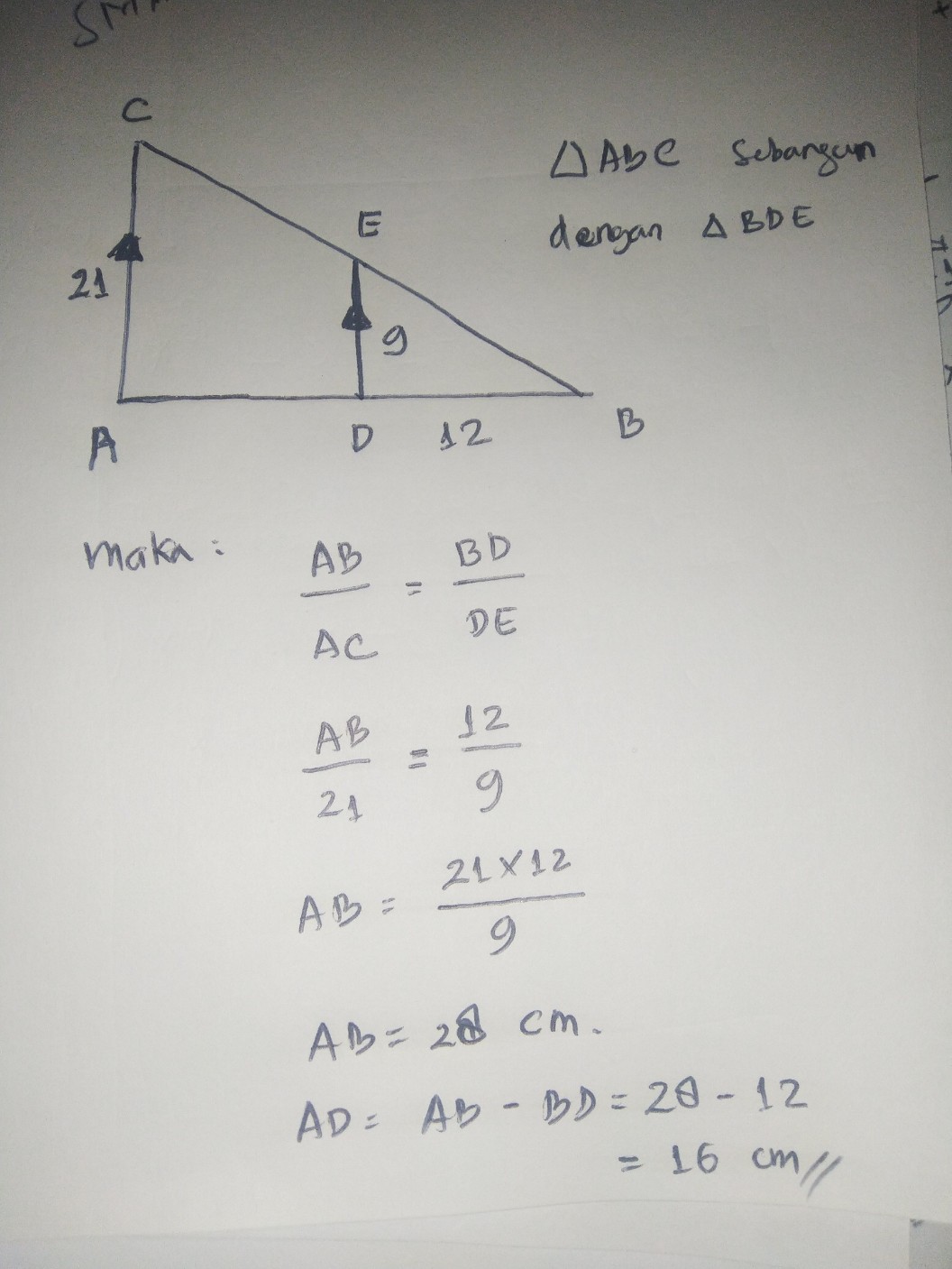 Perhatikan Gambar Berikut Ini Panjang Ac Adalah Studi Indonesia