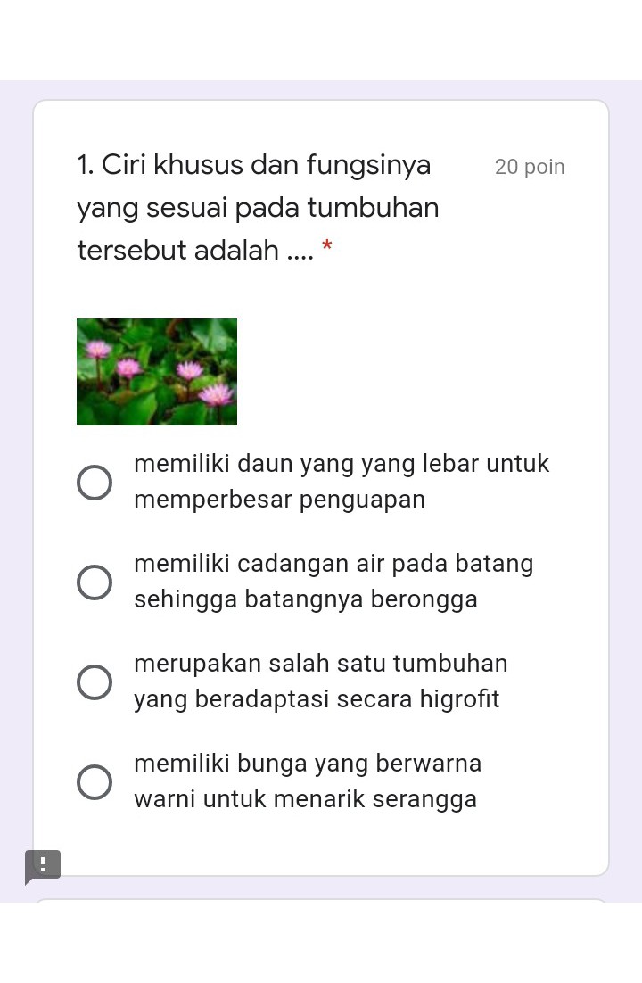 Tumbuhan Yang Memiliki Batang Berongga Studi Indonesia Tumbuhan Yang Memiliki Batang Berongga Studi Indonesia
