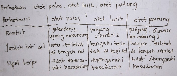 42 Jelaskan Perbedaan Oto Lihat Cara Penyelesaian Di Qanda 42 Jelaskan Perbedaan Oto Lihat Cara Penyelesaian Di Qanda