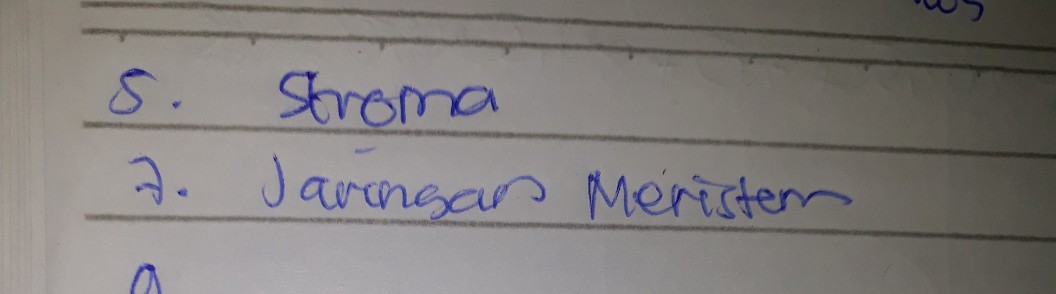 1 Organ Organ Berfungsi Descubre Como Resolverlo En Qanda