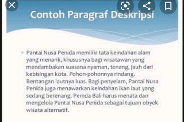 Contoh Paragraf Deskripsi